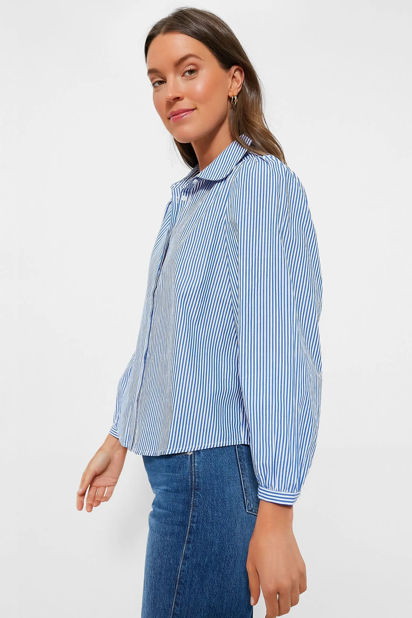 Blue Stripe Palmer Button Down