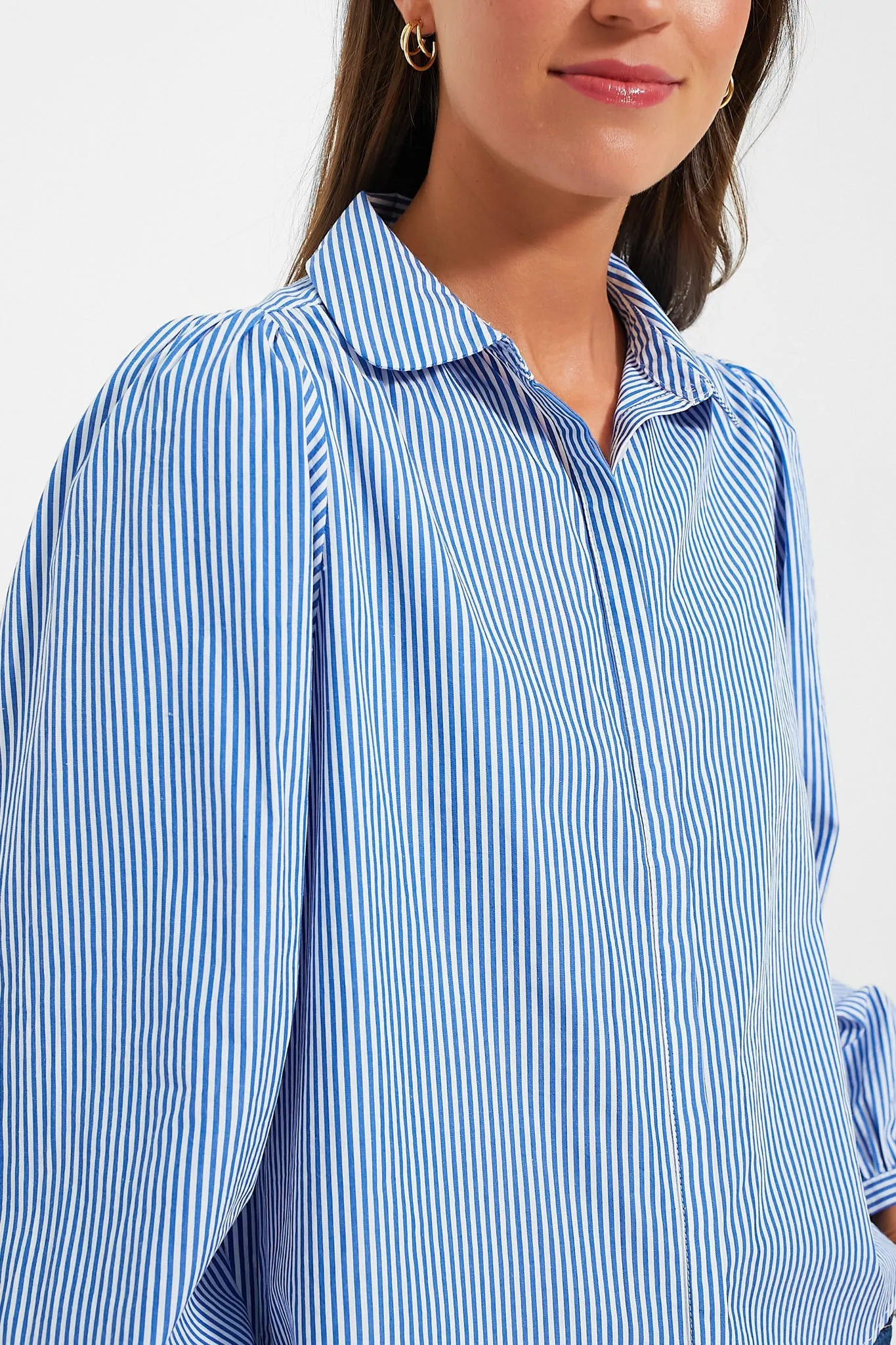 Blue Stripe Palmer Button Down